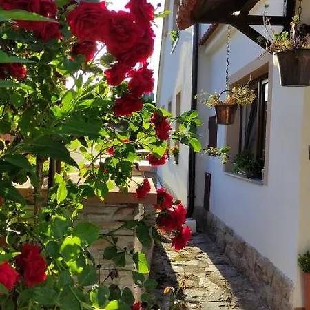 Maison d'hôtes Penzion Chlumec Chlumec (Cesky Krumlov)