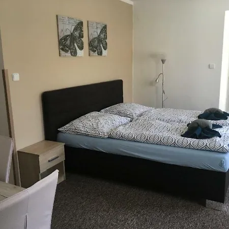 Penzion Chlumec Гостевой дом 3*